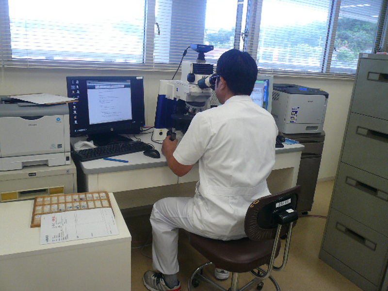細胞診検査